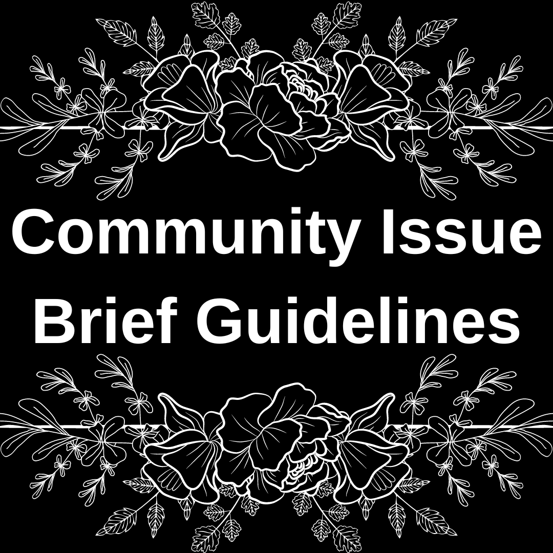 Guidelines: Community Issue Brief