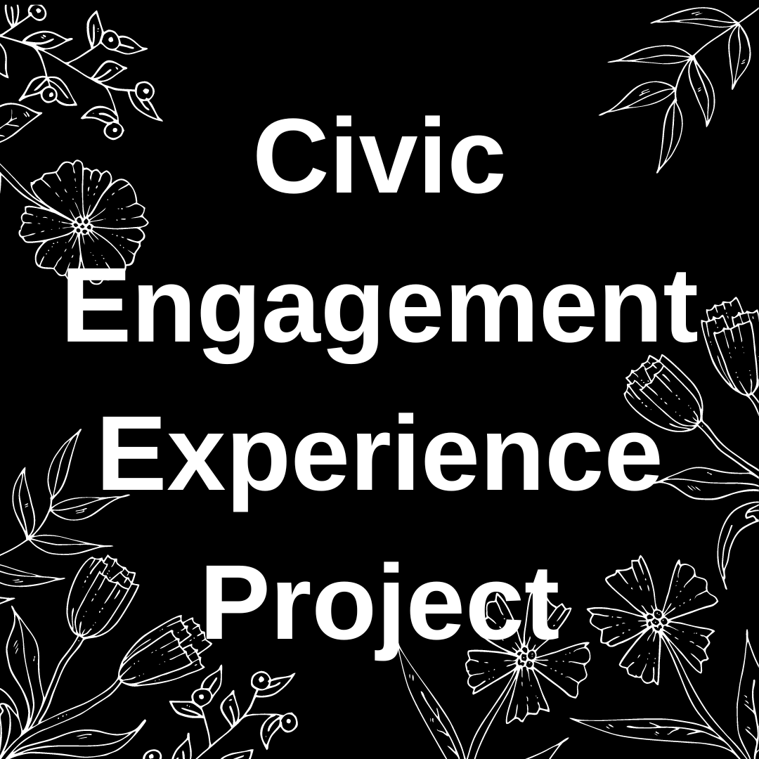 Guidelines: Civic Engagement Experience Project